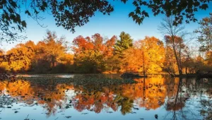bucks county fall foliage