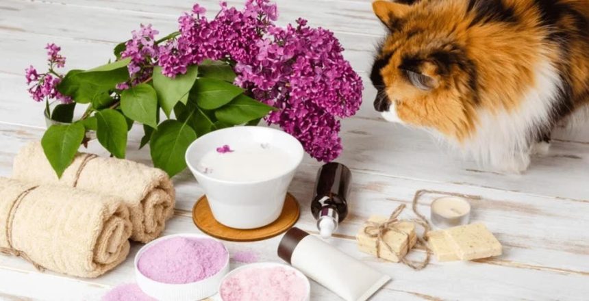 The Athlete's Edge Choosing Natural Fragrances for Pet-Friendly Recovery